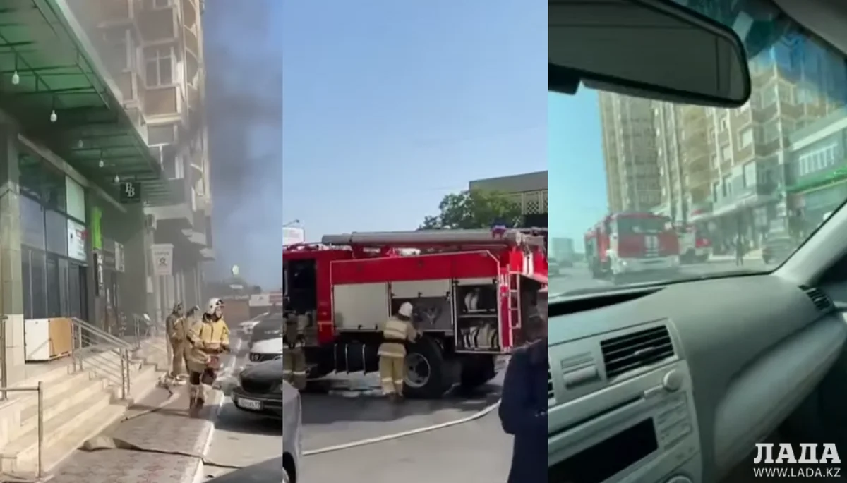 Коллаж из кадров видеоматериала