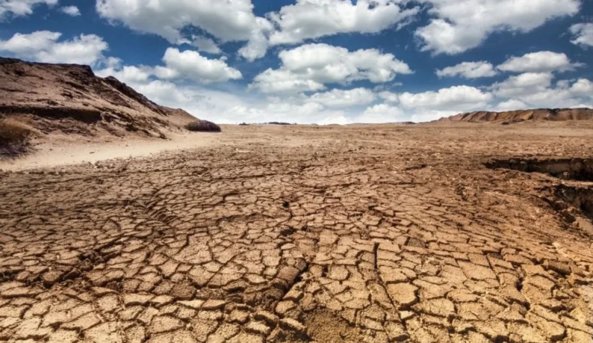 Фото из доступных источников