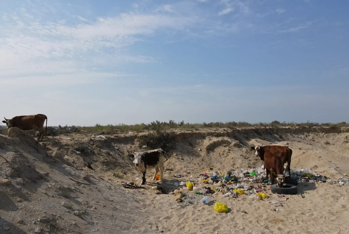 Фото Азамата Сарсенбаева