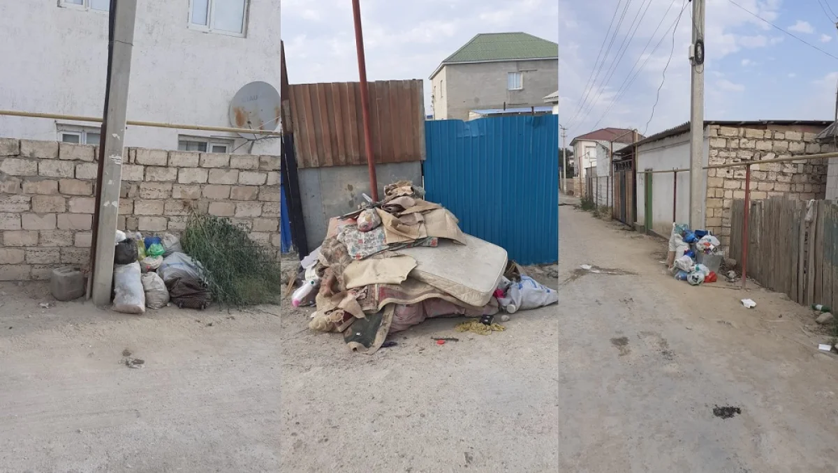 Коллаж из фото с места событий. Фото предоставлены жителями Атамекена