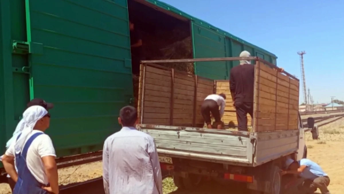 Фото Хабар24