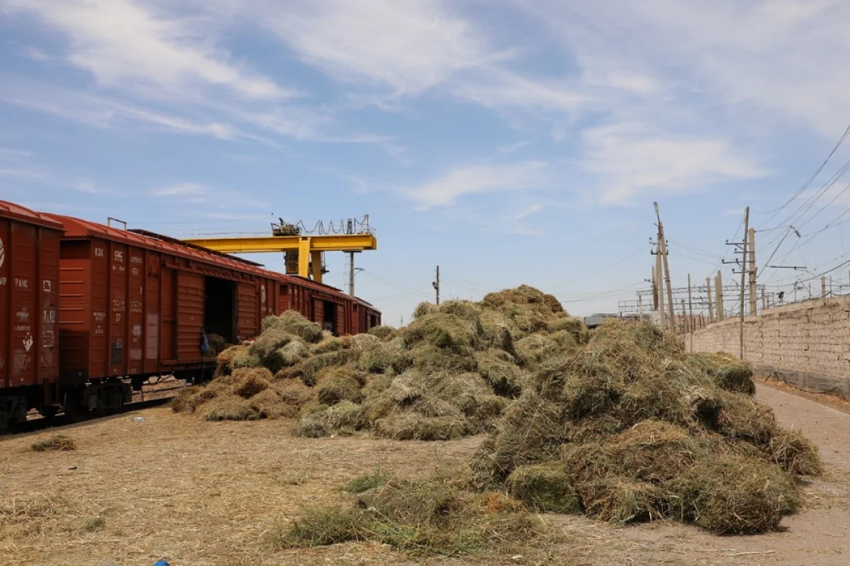 Фото с сайта inform.kz