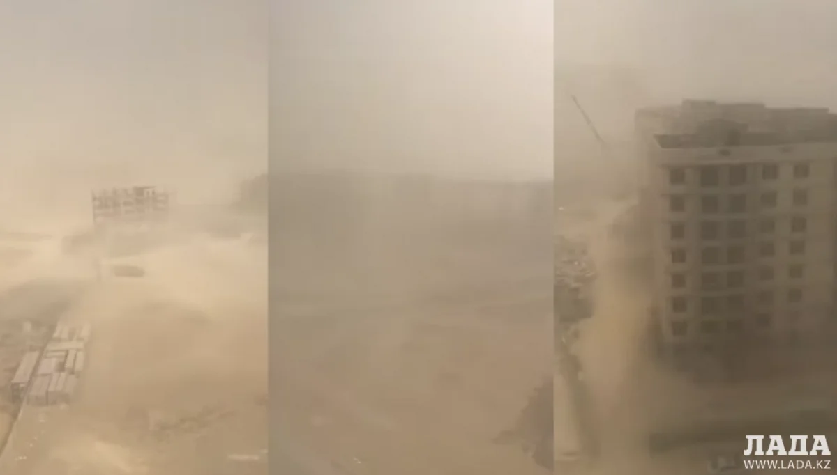 Коллаж из кадров видеоматериала