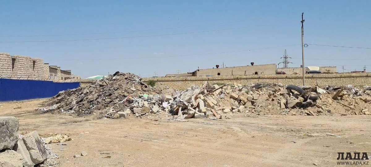 Фото пресс-службы департамента экологии Мангистауской области