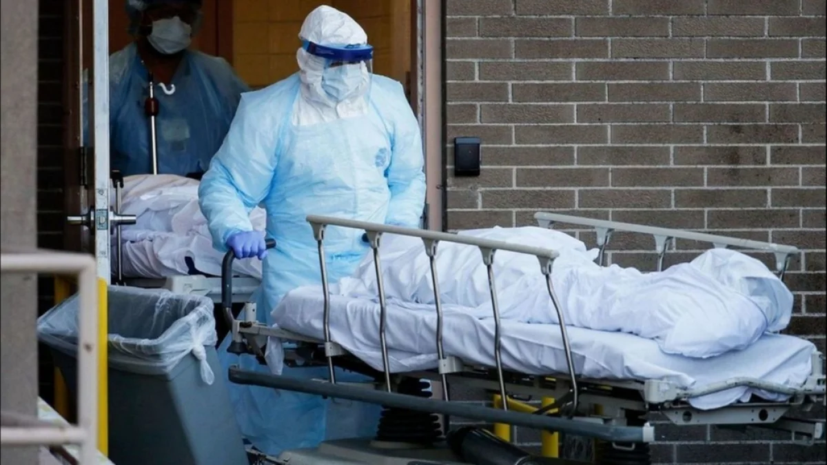 Фото из доступных источников