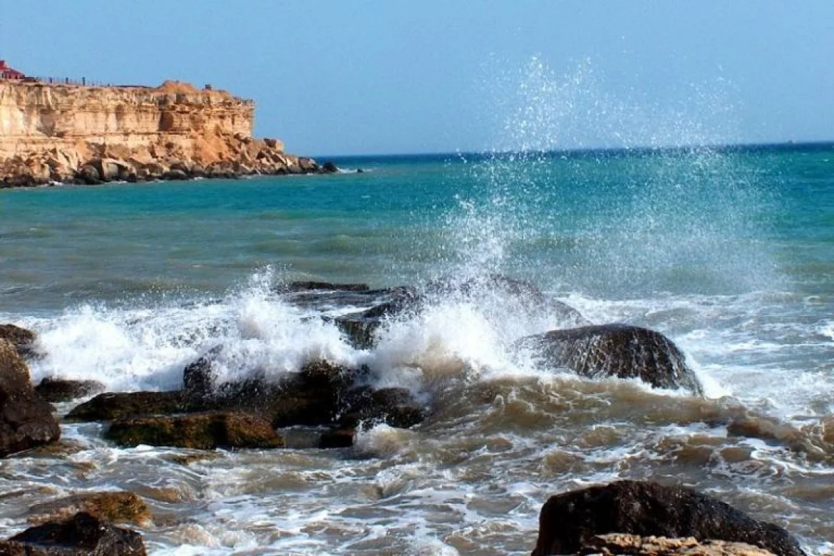 Фото из доступных источников