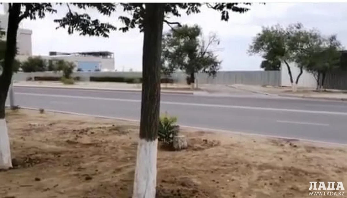 Фото пользователя сайта