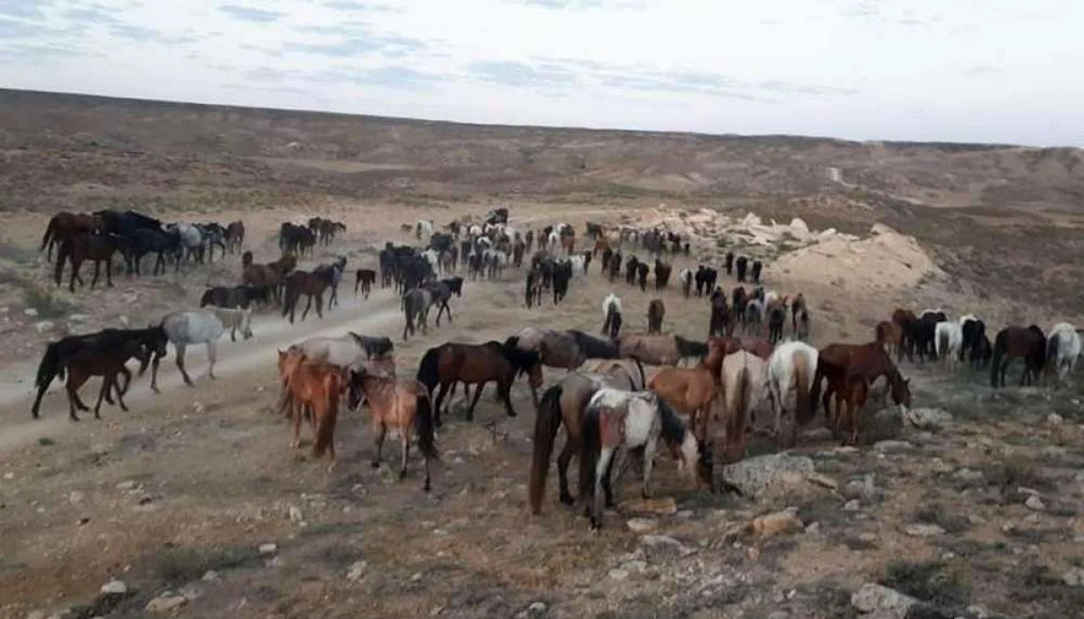 Фото из архива