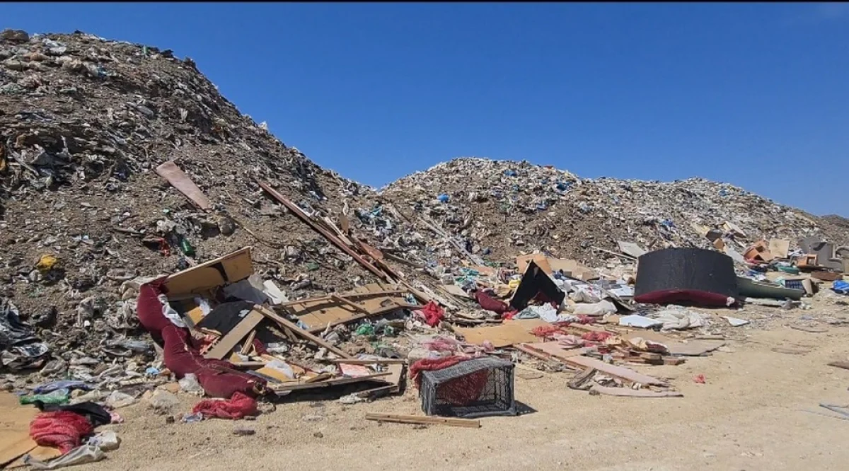 Фото предоставили в департаменте экологии