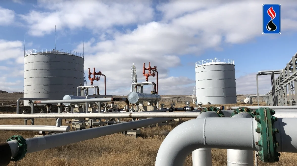 ТОО «Емир Ойл»