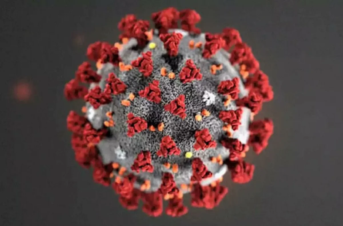 Фото с сайта regnum.ru