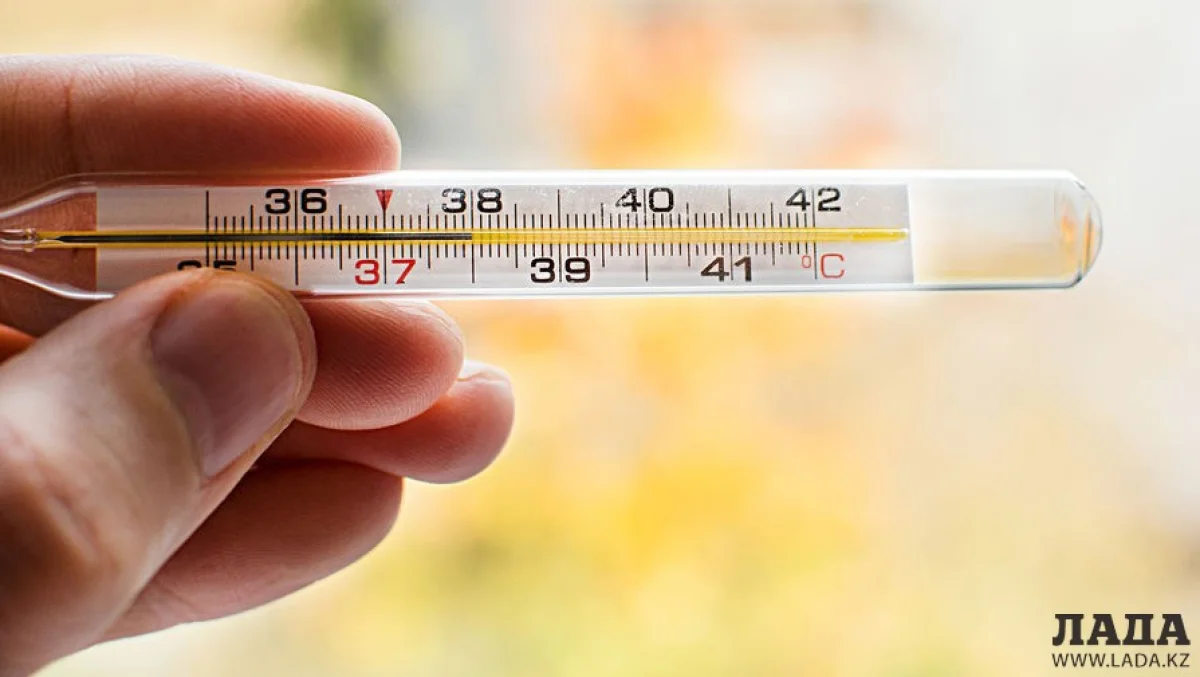 Иллюстративное фото