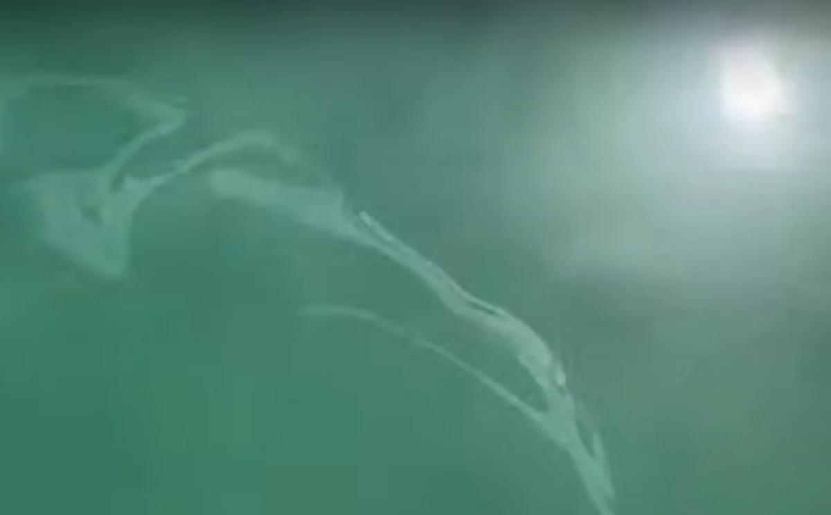 Скрин видео