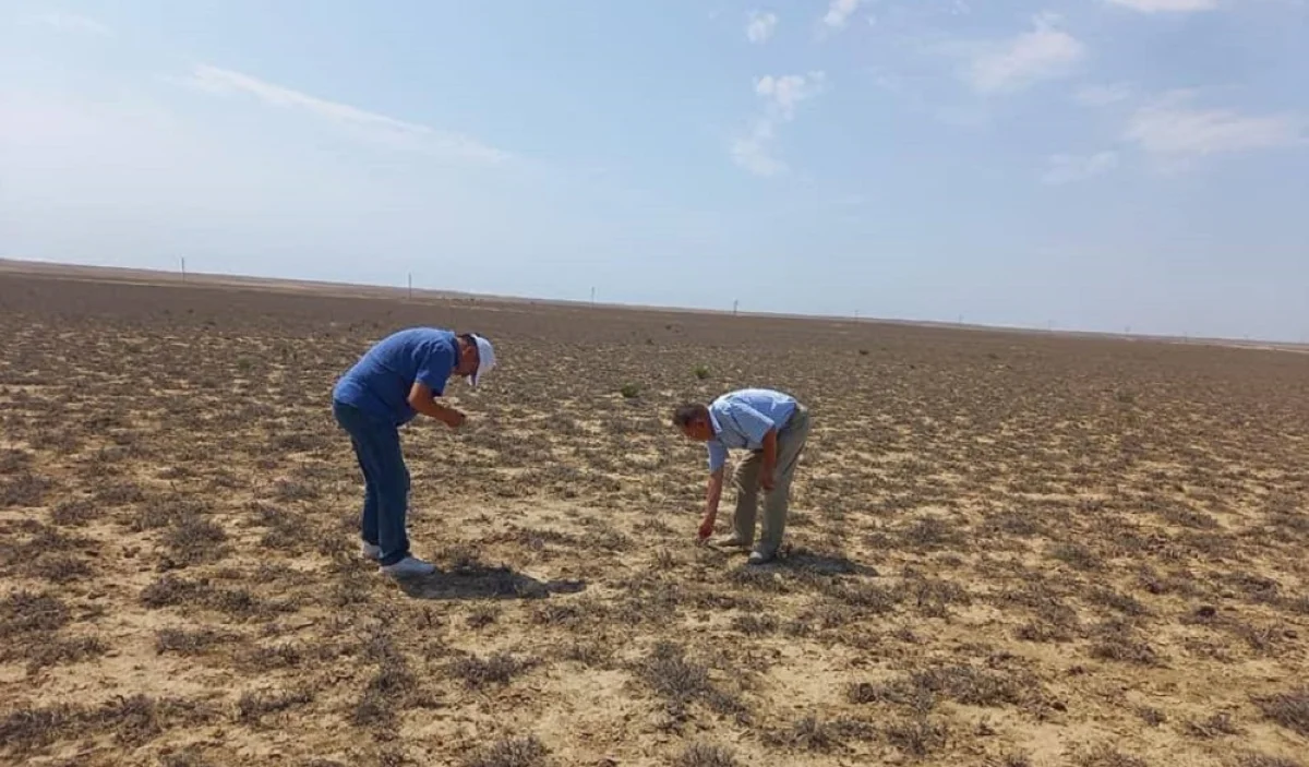 Фото пресс-службы акима области