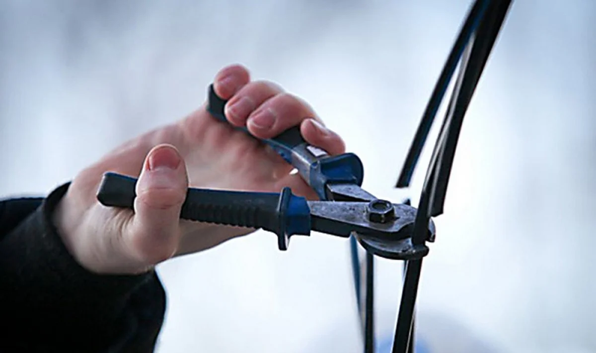 Фото из доступных источников