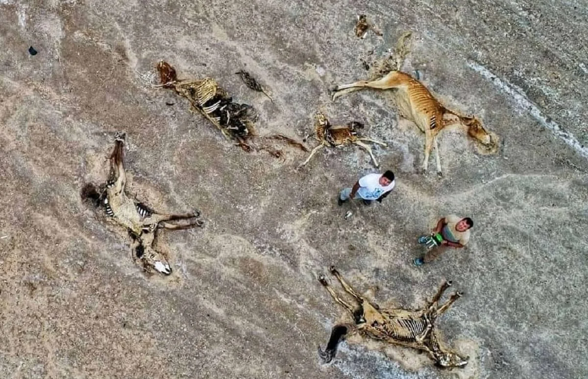 Фото Павла Михеева