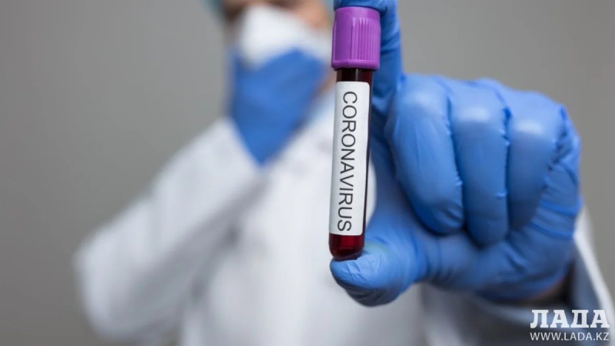 Фото с сайта elements.envato.com