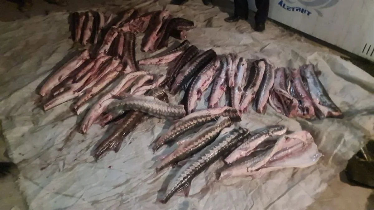 Фото предоставили в в пресс-службе КНБ РК