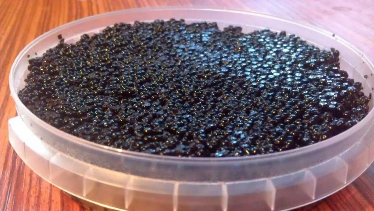 Фото из доступных источников