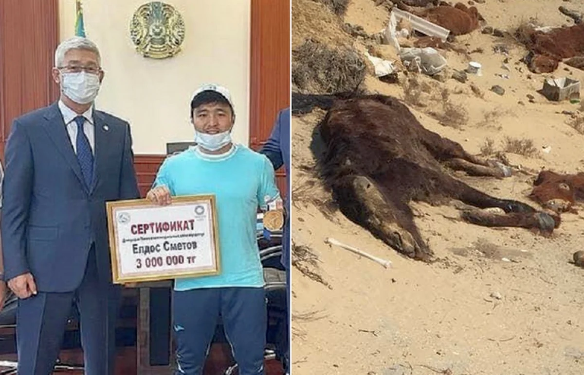 Фотоколлаж Казахского телеграфного агентства