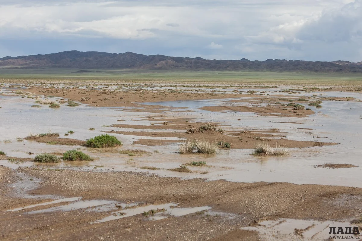 Фото из открытого источника