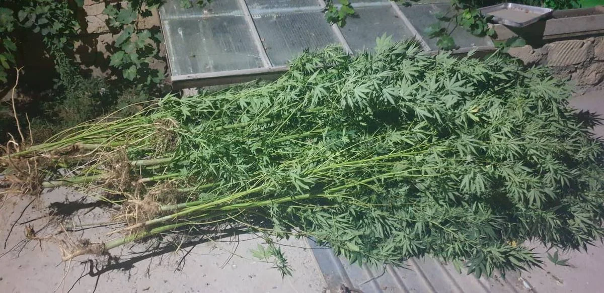 Фото пресс-службы ведомства