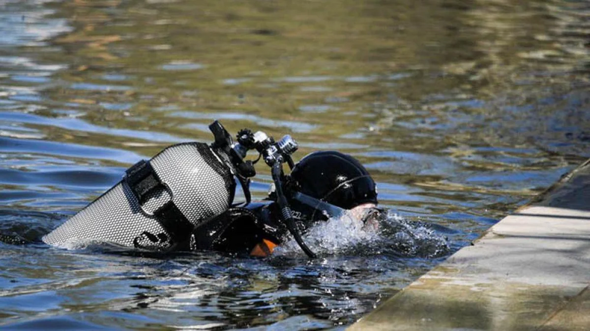 Фото из доступных источников