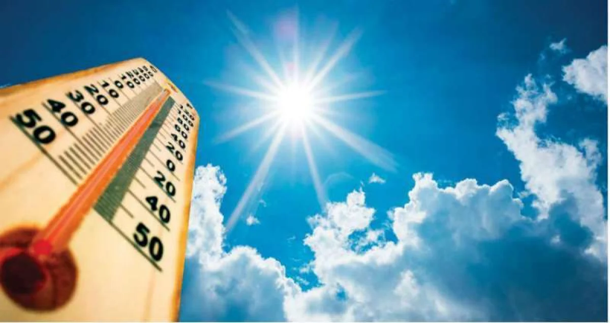 Иллюстративное фото