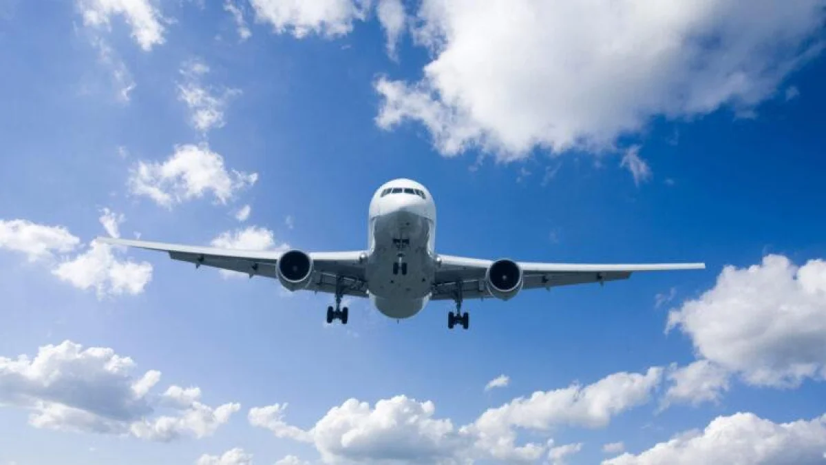 Иллюстративное фото