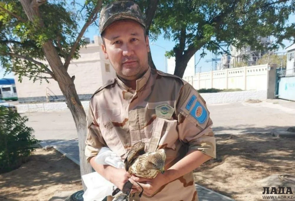 Фото Т. Аленова