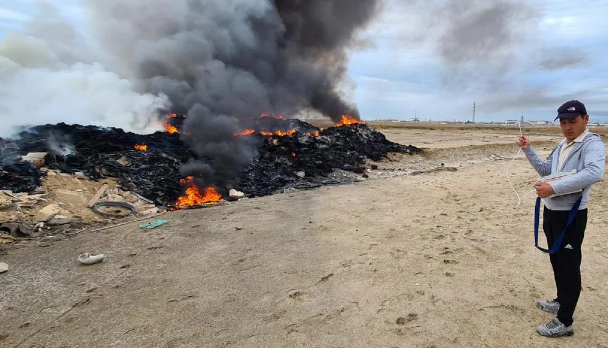 Фото предоставила пресс-служба департамента экологии Мангистауской области