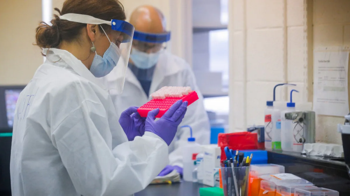 Фото из доступных источников