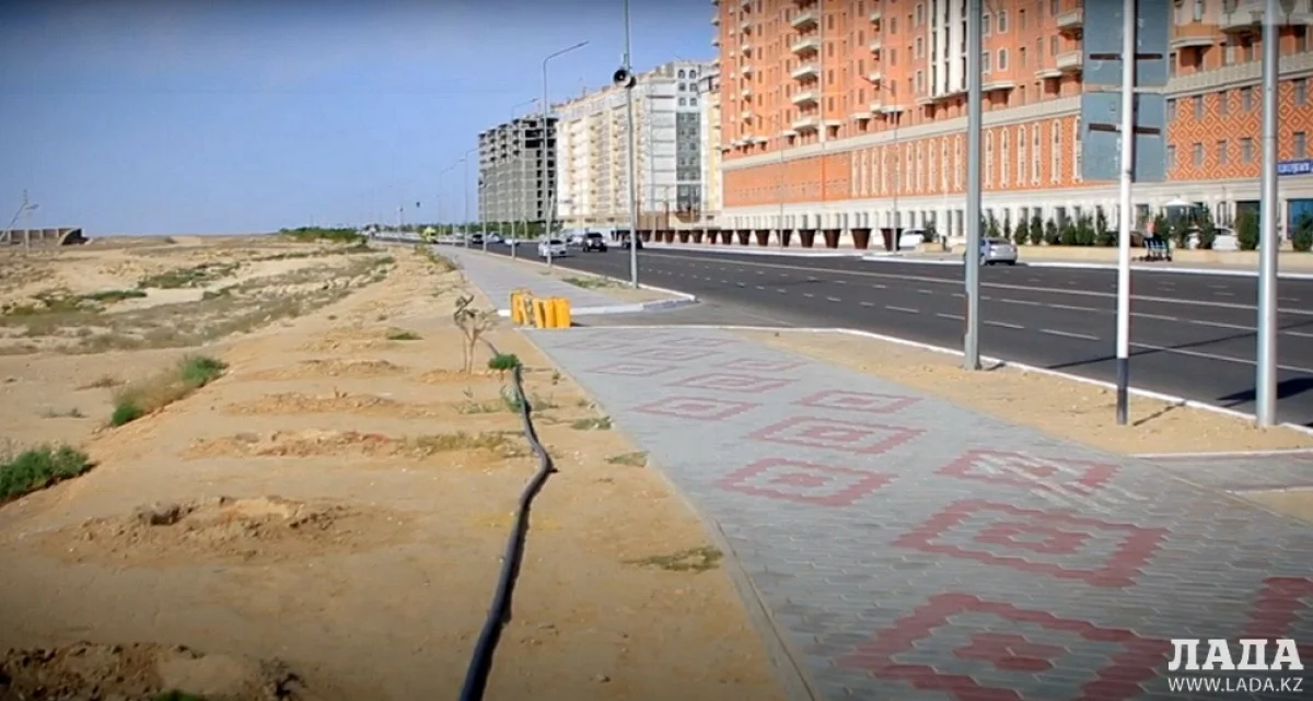 Вместо тополей лишь лунки