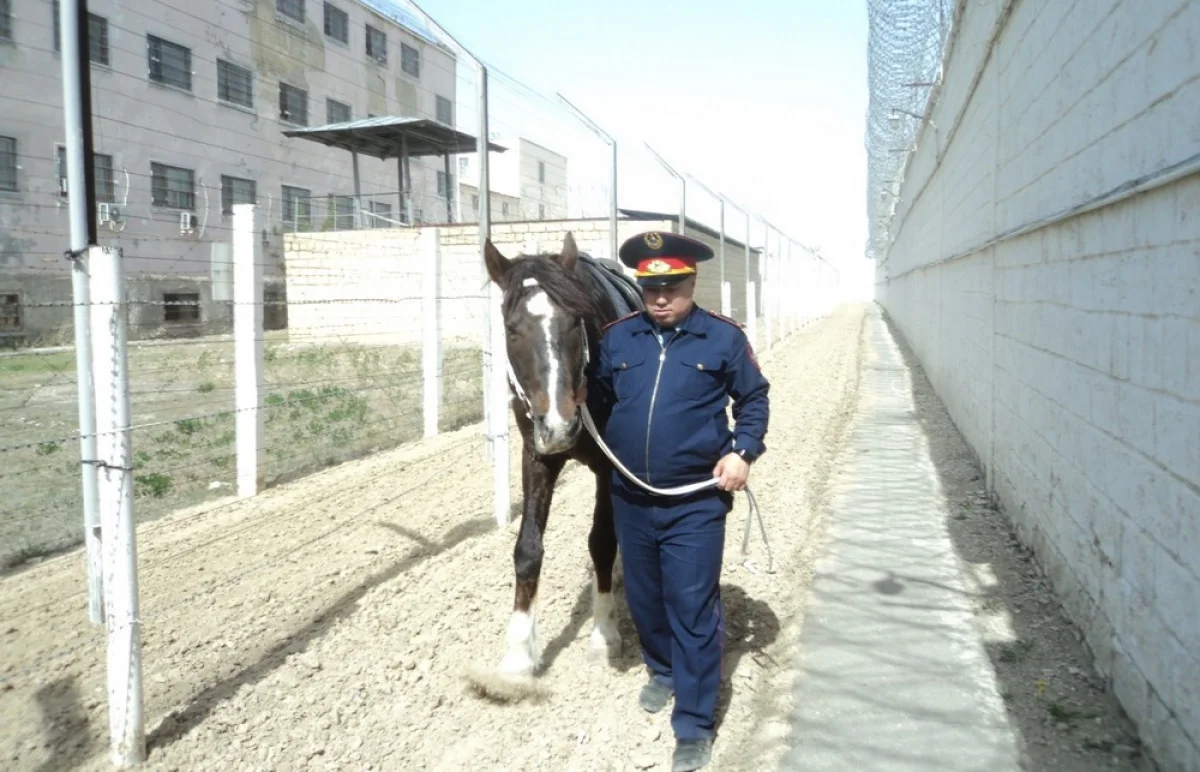 Фото предоставили в пресс-службе учреждения ГМ 172/10