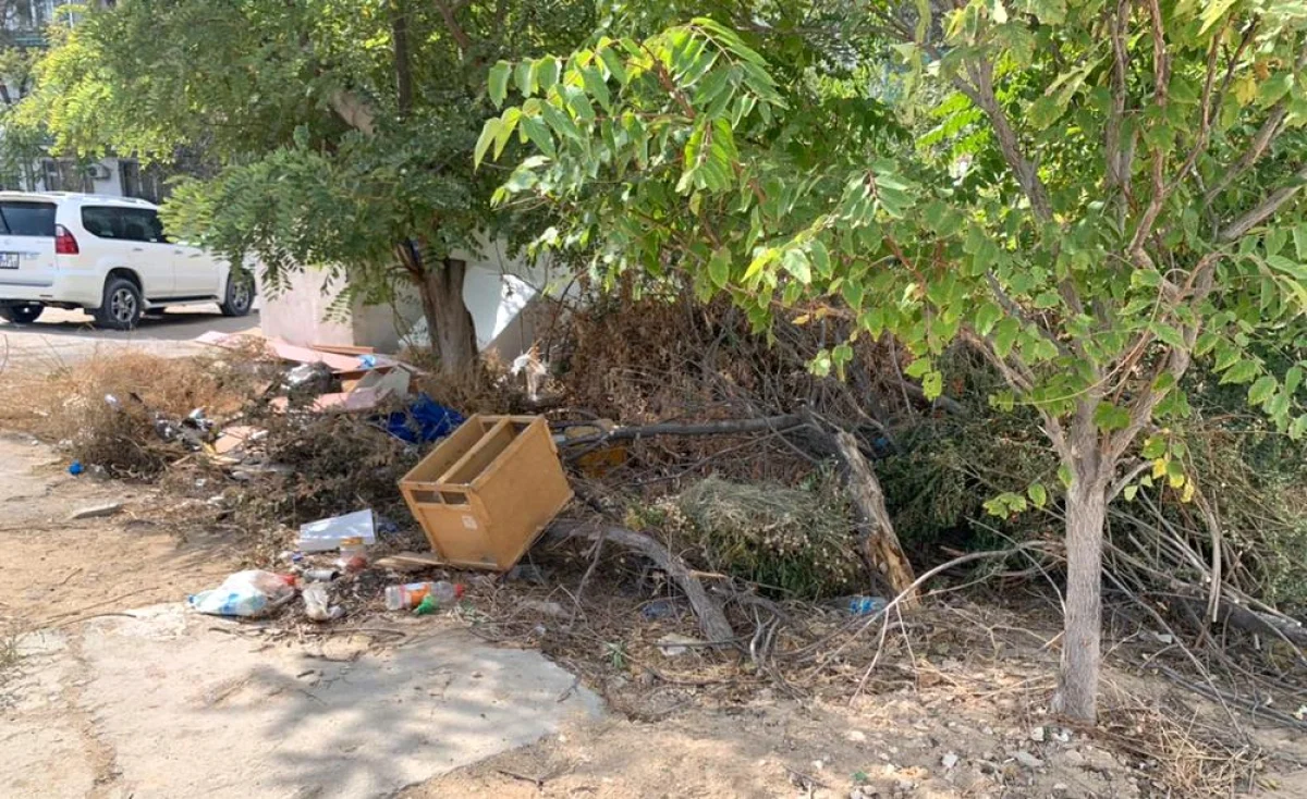 фото пользователя lada.kz