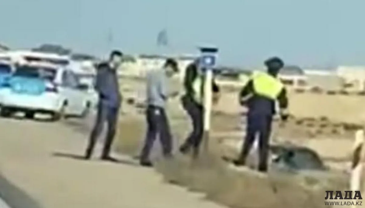 Скрин видео