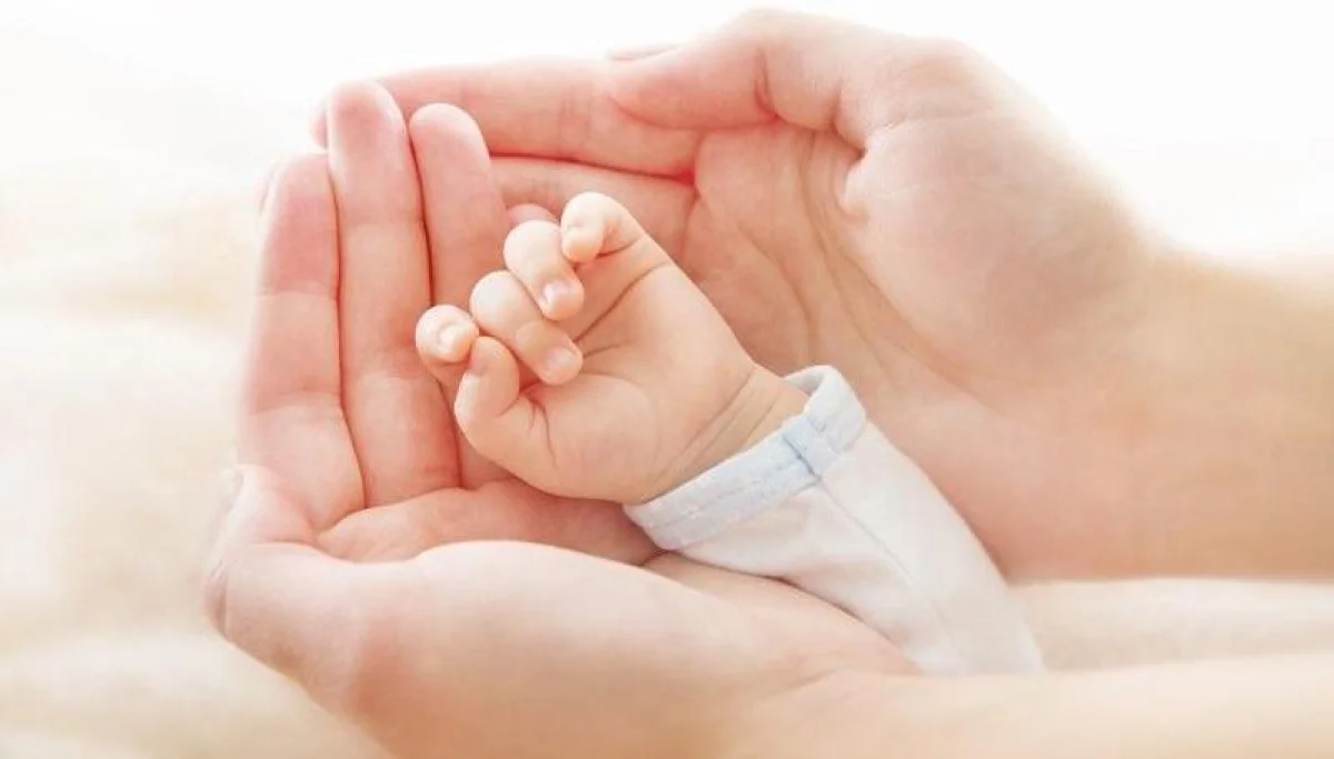 Фото из Сети интернет