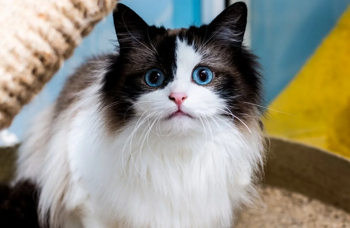 Фото из доступных источников