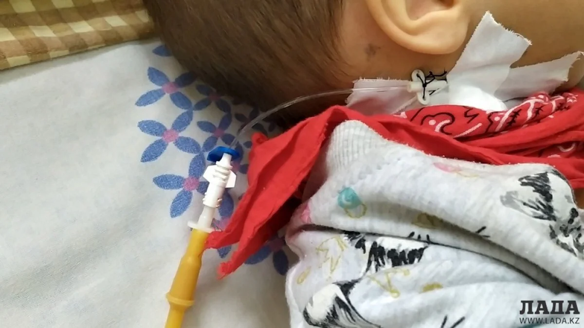 Фото родителей девочки