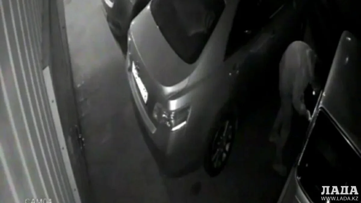 Скрин видео