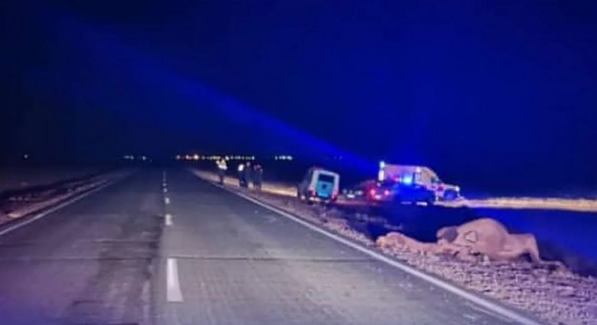 Фото со страницы «Beyneutoday» в Instagram