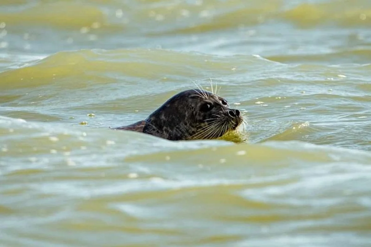 Фото МИА "Казинформ"