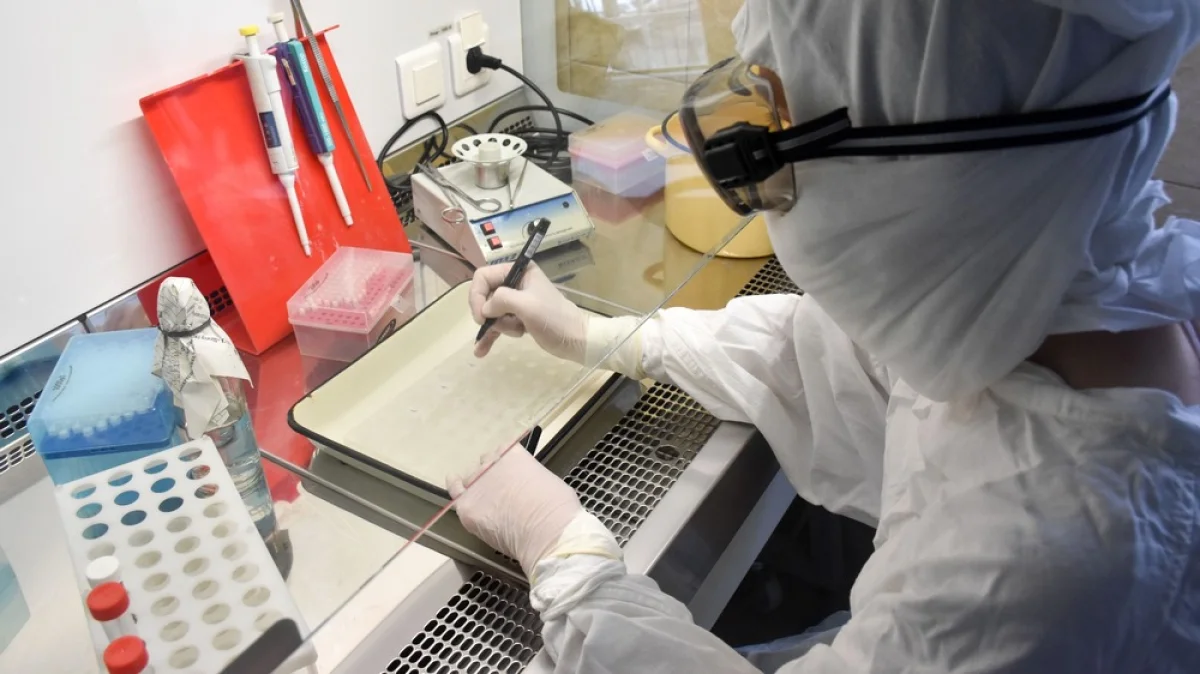 Фото из доступных источников