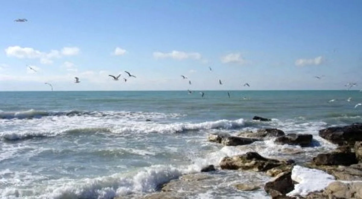 Фото из архива lada.kz