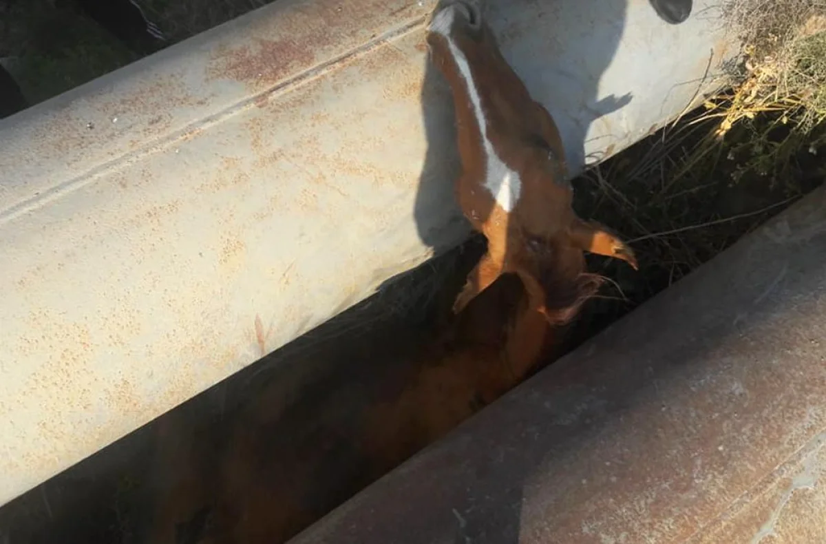 Фото предоставили в пресс-службе ДЧС региона