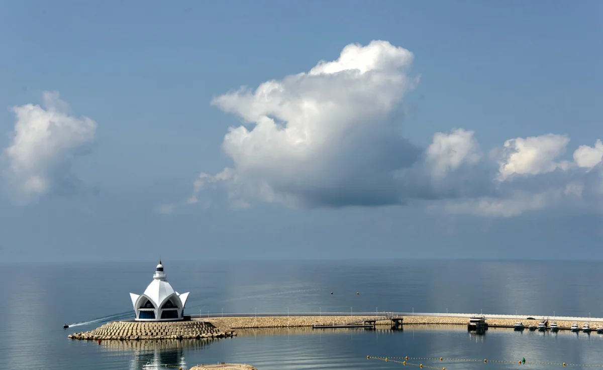 Фото из доступных источников