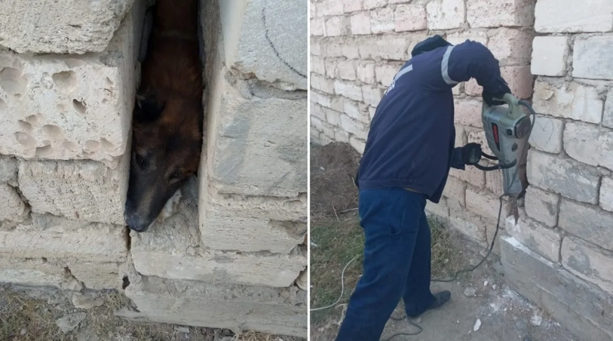 Фото предоставили в пресс-службе ДЧС региона