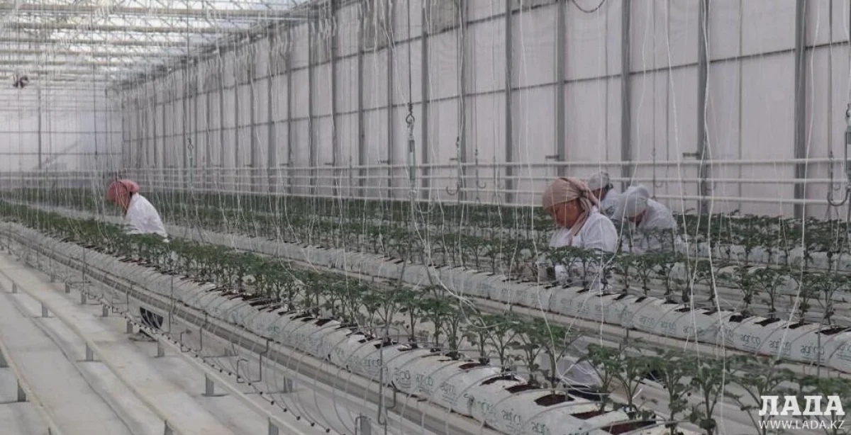 Фото предоставлено службой центральных коммуникаций