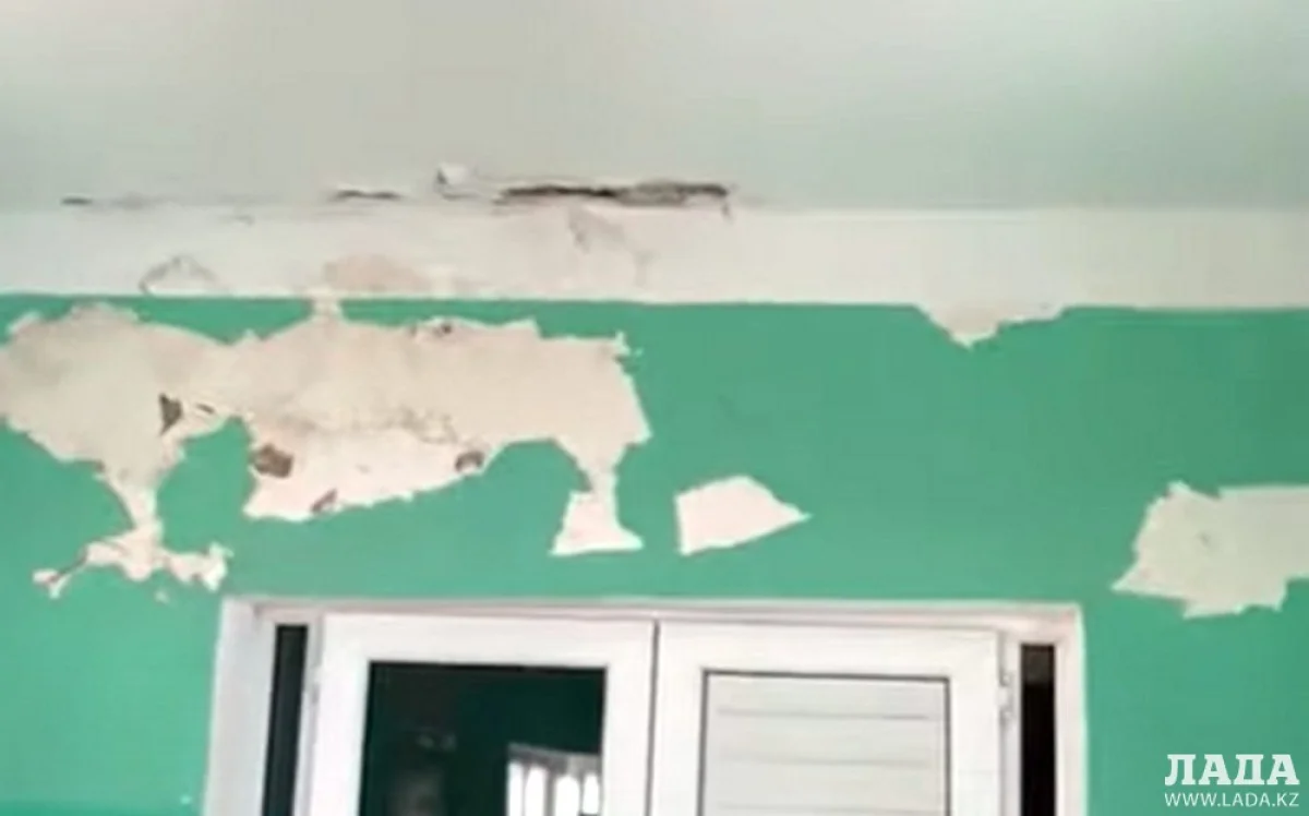 Скрин видео