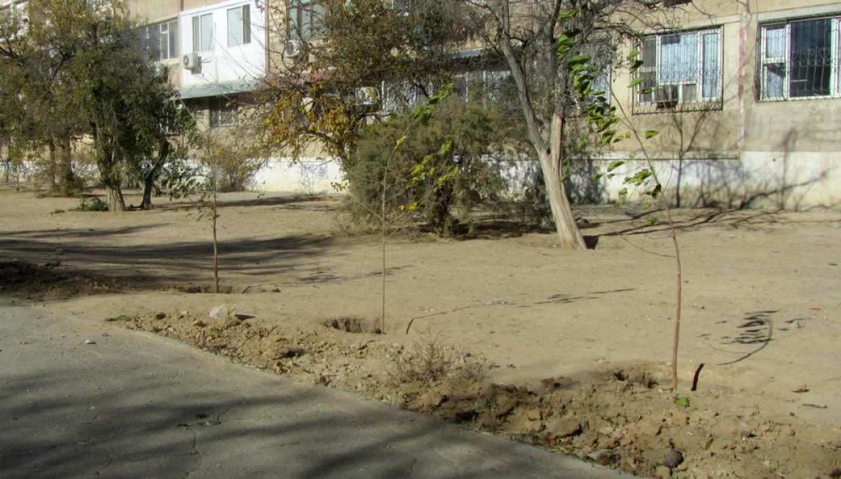 Фото предоставили жители дома №37 в 11 микрорайоне